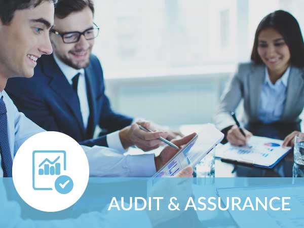 Audit & Assurance